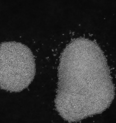Image processing Solution